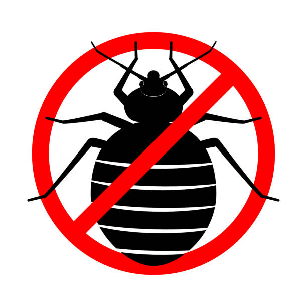 Bed Bug Treatment